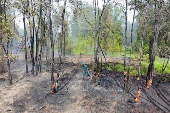 Khống chế vụ cháy rừng liền kề Khu di tích lịch sử cách mạng Bình Thành