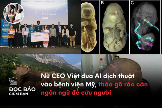 Nữ CEO Việt đưa AI dịch thuật vào bệnh viện Mỹ, tháo gỡ rào cản ngôn ngữ để cứu người