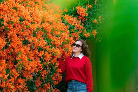 Ngôi nhà phủ kín hoa như 'cổ tích' ở Bảo Lộc