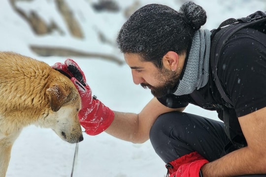 Chó học từ mới nhờ 'nghe lỏm' chủ nói chuyện