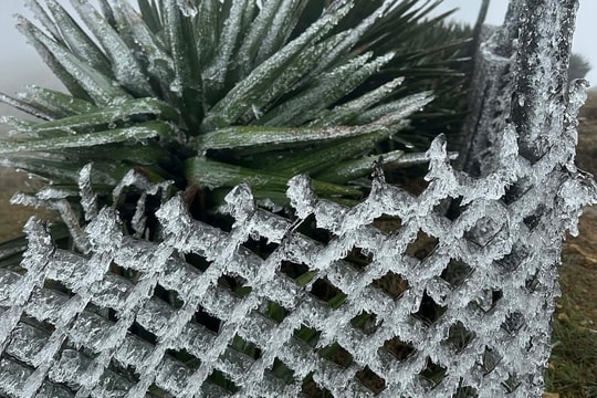 Đỉnh núi Mẫu Sơn xuất hiện băng