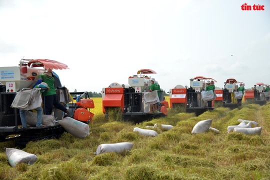 Nông nghiệp Việt Nam giữ vững vai trò trụ đỡ, xuất khẩu đạt gần 70 tỷ USD