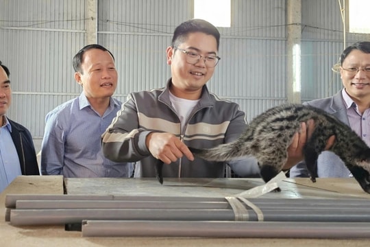 Bỏ nghề lái xe, người đàn ông đầu tư gần 1 tỷ đồng nuôi động vật hoang dã