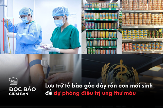 Lưu trữ tế bào gốc dây rốn con mới sinh để dự phòng điều trị ung thư máu
