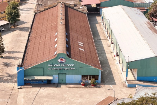 Nhà máy Đồ hộp Hạ Long ở Hải Phòng 'chưa thể xác định thời điểm tiếp tục sản xuất'