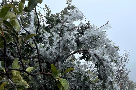 Miền Bắc thấp nhất 1 độ C