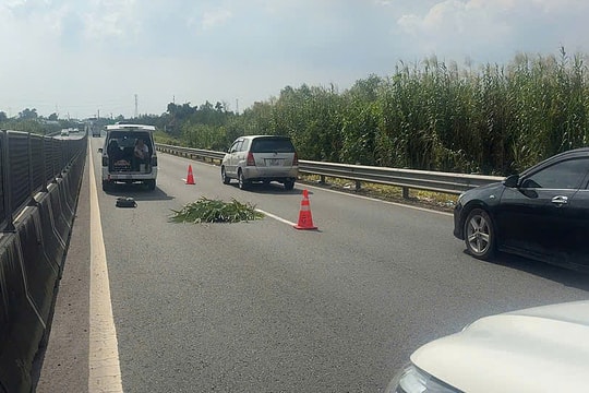 Hai nghi can bị bắt trong vụ thi thể người nước ngoài trên cao tốc Trung Lương