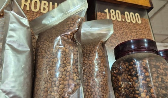 Giá cà phê hôm nay 23-1: Lại đi lùi, mong manh mốc 100.000 đồng/kg