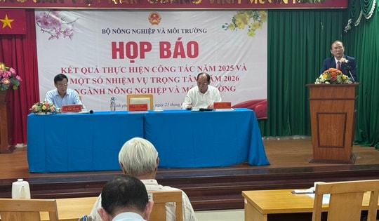 Nhiều nước muốn mua gạo thơm Việt Nam nhưng doanh nghiệp chưa xuất được