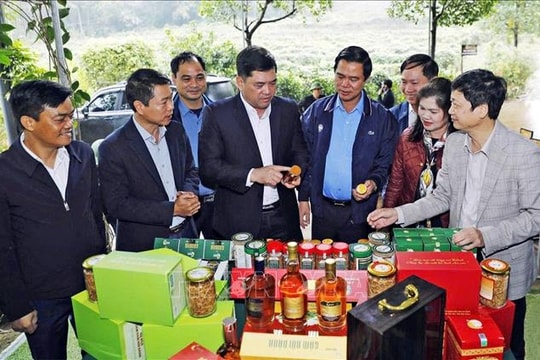 Bắc Ninh tập trung vào 3 đột phá chính nhằm đưa Nghị quyết Đại hội XIV vào cuộc sống