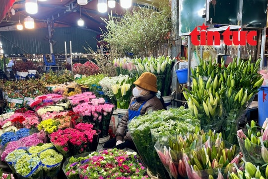 Giá hoa Tết Bính Ngọ có xu hướng tăng