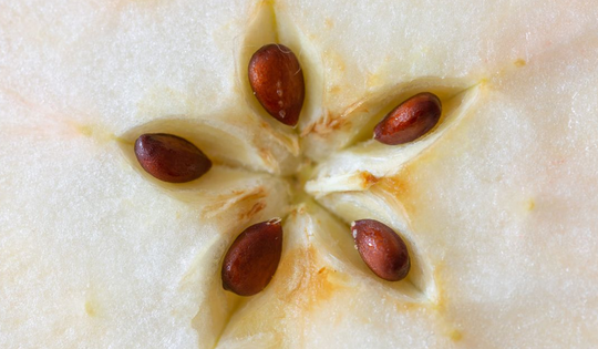 Loại quả chứa chất "kịch độc", quả số 1 mâm cơm nhà nào cũng có