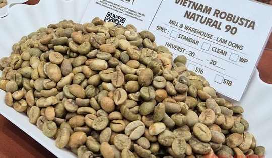 Giá cà phê hôm nay 24-1: Quay lại đà tăng 3 con số với Robusta