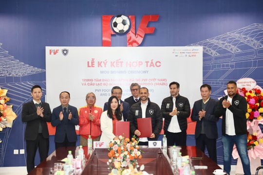 Lò đạo tạo 5 tuyển thủ U23 Việt Nam hợp tác cùng đội bóng hàng đầu Brazil