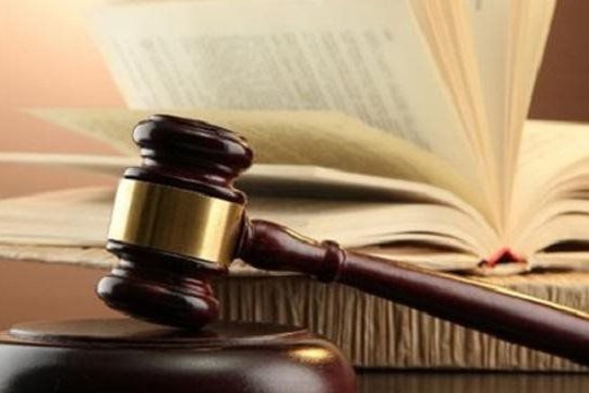 Thủ tướng ban hành Danh mục văn bản quy định chi tiết thi hành Luật Phục hồi, phá sản