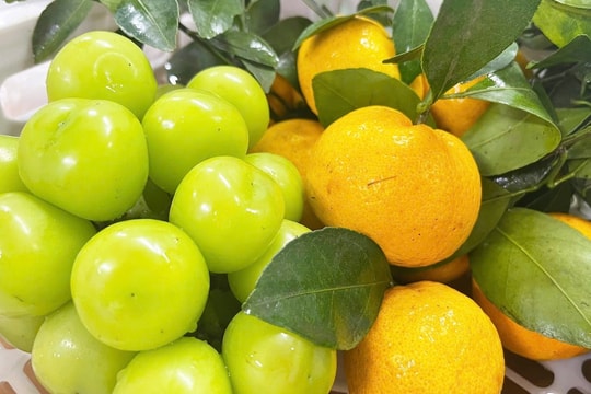 Ăn uống thế nào phòng nhồi máu cơ tim trong mùa lạnh