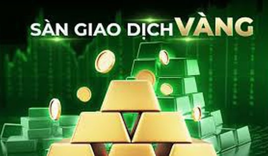 Thủ tướng yêu cầu hoàn thiện hồ sơ lập sàn giao dịch vàng trong tháng 1