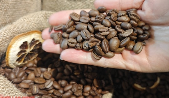 Giá cà phê hôm nay 25-1: Giá tăng 3 con số