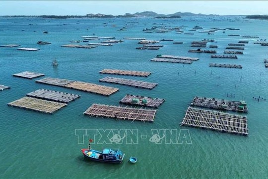 Điều kiện, trình tự thủ tục cấp phép nuôi trồng thủy sản