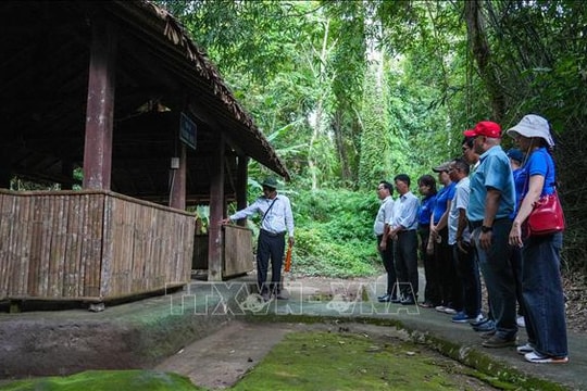 Di tích Căn cứ Trung ương Cục miền Nam: Điểm tựa ký ức và niềm tin