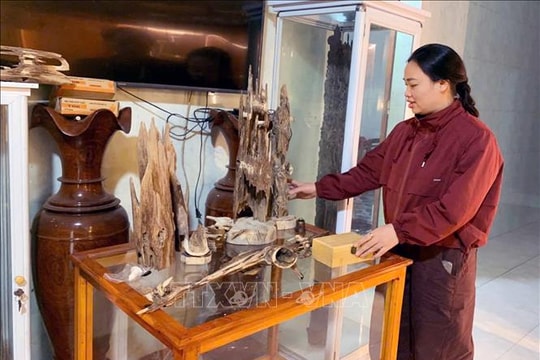 Trầm hương lên sàn, lan tỏa thương hiệu OCOP Hà Tĩnh