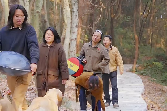 Cuộc sống 'ẩn cư' của nhóm bạn 9X trên núi cao