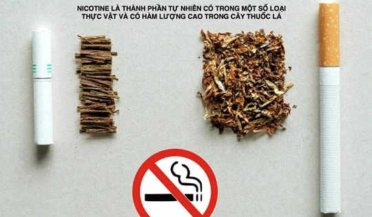 Làm rõ về độc tính của nicotine để phòng chống đúng tác hại của thuốc lá