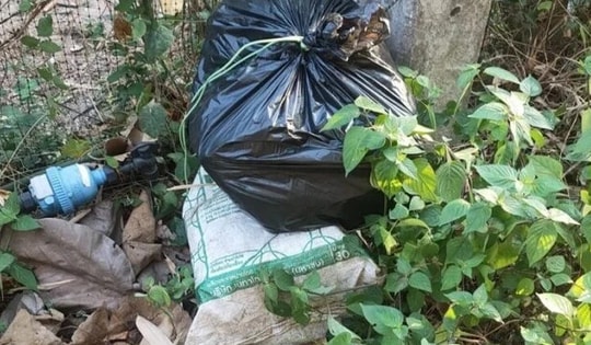 Thấy túi bóng đen vứt bên đường, người dân sốc khi thấy thứ bên trong