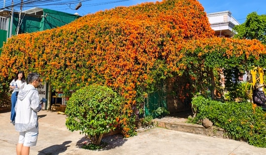 Căn nhà đang "nổi như cồn" ở Lâm Đồng