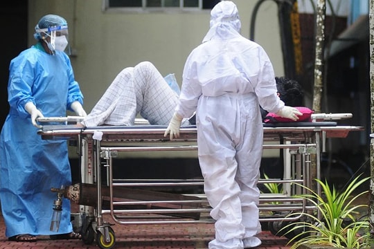 Mật chà là bị nghi chứa nguồn lây virus Nipah cho điều dưỡng tại Ấn Độ