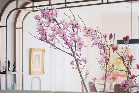 Cách chọn bình hoa mộc lan đẹp cho không gian ngày Tết