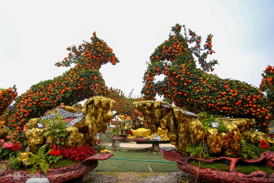 Tạo hình ngựa từ cây quýt