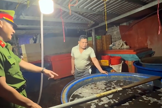 Cảnh sát đột kích xưởng làm 3.000 tấn ốc bươu 'ngậm' hóa chất ở TP HCM