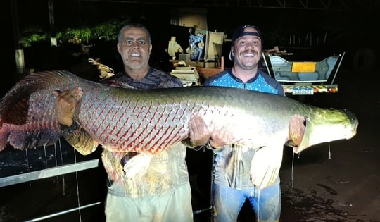 Ngư dân bắt được con cá khổng lồ nặng 124kg trên sông