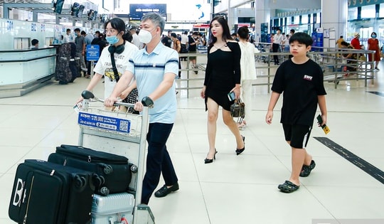 Chưa ghi nhận ca nhiễm virus Nipah, Việt Nam tăng cường giám sát