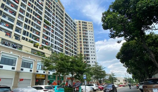 Minh bạch, chuẩn hóa hoạt động nhà chung cư