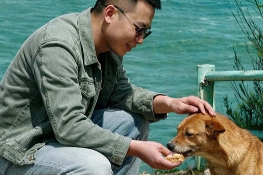 Chú chó ở Phú Yên gây sốt vì chỉ đường cho khách như hướng dẫn viên