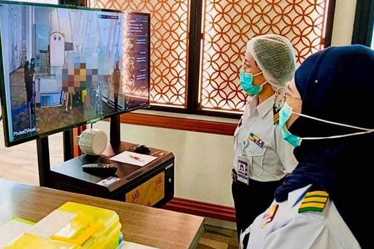 Chuyên gia: Nguy cơ dịch Nipah tại Việt Nam thấp dù phát hiện kháng thể ở dơi