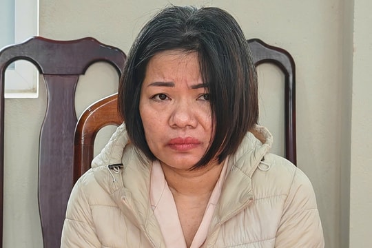 Người giúp việc đánh cụ bà 82 tuổi từng bị phạt tù vì trộm cắp