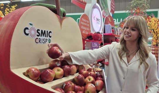 Nhập khẩu táo Mỹ xếp thứ 2 châu Á, "Cô gái táo" đến Việt Nam mùa Tết