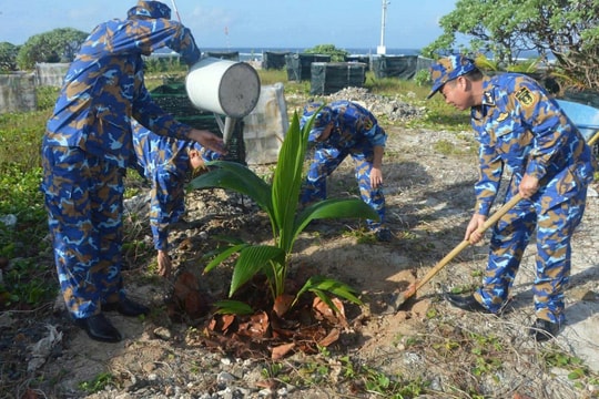 Vùng 4 Hải quân tiếp nhận 340.000 cây xanh để ‘Xanh hóa Trường Sa’