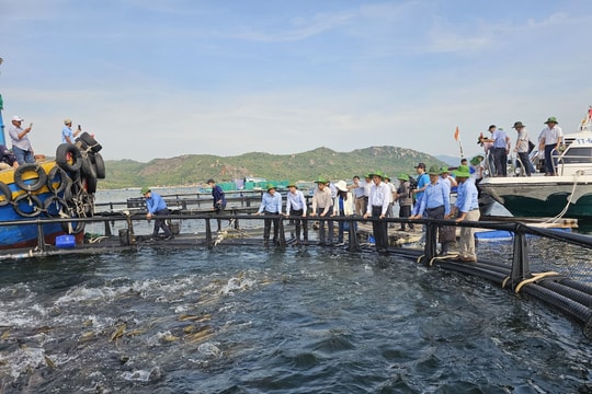 Giữ vững mục tiêu phát triển kinh tế đi đôi với bảo vệ môi trường