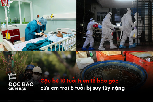 Cậu bé 10 tuổi hiến tế bào gốc cứu em trai 8 tuổi bị suy tủy nặng