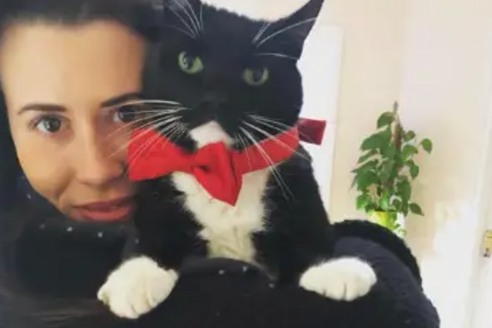 Bỏ nghề giám đốc đi trông chó mèo