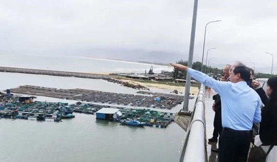 Gia Lai mạnh tay chặn gom đất trái phép quanh dự án năng lượng