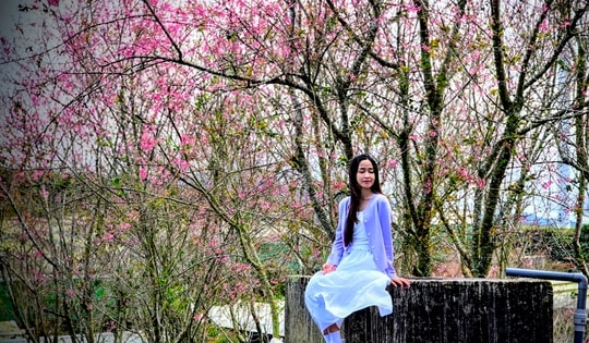 Quang Dũng, Hồng Nhung biểu diễn trong Lễ hội Mai anh đào Đà Lạt