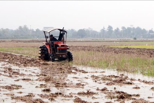 Khẩn trương hoàn thành lấy nước gieo cấy vụ Đông Xuân