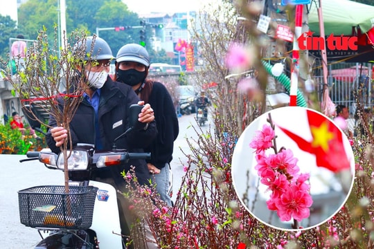 Chợ hoa Quảng Bá ngập tràn sắc xuân, người dân Hà Nội nô nức ghé thăm