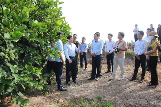 Phát huy tối đa tiềm năng hệ sinh thái du lịch bản địa Cù Lao Dung