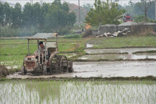 Gần 83% diện tích đã đủ nước gieo cấy vụ Đông Xuân